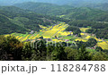 Golden rice terraces overlooking the hilltop (the summit of Mitsugoyama) The rice terraces of Hiwa-Mikawauchi, a certified Tsunagu Rice Terrace Heritage Site 118284788