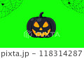 Halloween animation with glowing jack-o-lantern, spider webs, and spiders on green screen background. 4K video 118314287