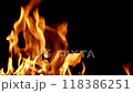 火焰，火焰之舞，燃燒，燃燒 118386251