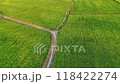 Beautiful aerial view of paddy field with green color and way into rice plantation at Mekong Delta countryside, vast farm but low productivity by climate change impact on food security 118422274