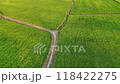 Beautiful aerial view of paddy field with green color and way into rice plantation at Mekong Delta countryside, vast farm but low productivity by climate change impact on food security 118422275