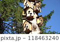 Birdhouse on a tree 118463240