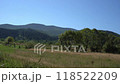 Wind in green trees. Mountains ranges in the Carpathians. Hills forest and meadow 118522209