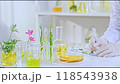 The video template features a researcher taking important notes on a table, surrounded by jars of herbal solutions for oriental medicine experiments. 118543938