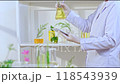 Scientist holding volumetric flask containing rosemary sprigs soaked in gold solution to observe and take notes. Modern lab setting with shelves displaying experimental solutions and materials 118543939