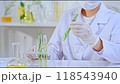 Scientists use magnifying glass to observe details of a rosemary branch in a test tube, a video sample is used for modern laboratory experiments with full equipment. 118543940