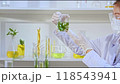 Laboratory video sample with scientist holding beaker observing a herbal branch soaked in a solution, while a shelf behind contains bottles of the solution with herbs inside. 118543941