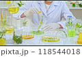 template video features A scientist in a lab coat pours a yellow liquid into a flask containing herbs in an organized lab filled with various glassware and plant specimens for the research process. 118544018