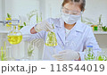 A volumetric flask containing fresh rosemary sprigs and yellow solution is being shaken by a scientist for experimental observation. Modern laboratory background with professional equipment. 118544019