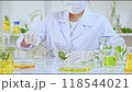 Template footage features a scientist in a white lab coat using tweezers extracting a plant sample from a glass vial and various laboratory equipment filled with herbs. 118544021