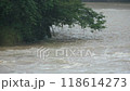 The Mogami River swollen due to torrential rain 118614273