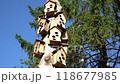 Birdhouse on a tree 118677985