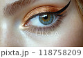 Close-up of a perfectly applied winged eyeliner on a woman's eye, highlighting makeup detail 118758209