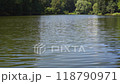 Pond water with small ripples of waves and reflection of the blue sky. Green water of a forest lake. Summer landscape. Emphasis on water. Fixed camera. 118790971