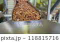 Factory for the production of crackers, crackers. Croutons on the conveyor. Automated line for the production of rusks from bread. Conveyor line machine. Rusks on the conveyor. 118815716