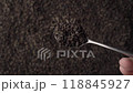 A teaspoon scooping up black fanning or broken loose leaf tea and being examined in detail. Close up, top view 118845927