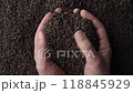 Hands taking a handful of fanning or broken loose leaf black tea and examining it in detail. Close up, top view 118845929