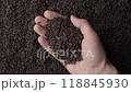Hands taking a handful of fanning or broken loose leaf black tea and examining it in detail. Close up, top view 118845930