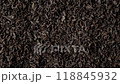 Background of black fanning or broken loose leaf tea slowly rotating. Close up, top view 118845932