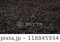 Black fanning or broken loose leaf tea is poured into a pile. Close-up, side view 118845934