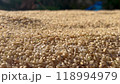米虫 118994979