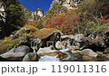 Yamanashi_Shosenkyo autumn leaves superb view 119011316