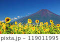 Yamanashi_Spectacular view of sunflowers in full bloom and Mt. Fuji 119011995
