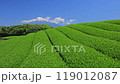 Shizuoka _ Mt. Fuji and superb view of the tea plantation 119012087