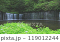 Gunma_Scenery of Shiraito Falls 119012244