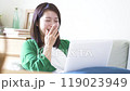 Young woman using a computer in the living room 119023949