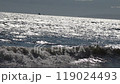 夏の海2 119024493