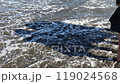 JKと夏の海1 119024568