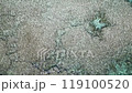 透明な海と珊瑚礁を空撮 119100520