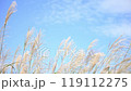 青空と揺れるススキ 119112275