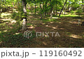 Sayama Green Space, a forest in the Sayama Hills, with fresh greenery. Panning from left to right. 119160492