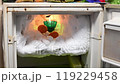 The freezer compartment of the refrigerator is covered with pieces of ice in which a chicken egg lies 119229458