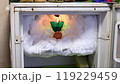 The freezer compartment of the refrigerator is covered with pieces of ice in which chicken egg lies 119229459