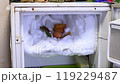 The freezer compartment of the refrigerator is covered with pieces of ice in which there are pine cones and a candle is burning 119229487