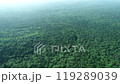 Drone photography of Aokigahara Jukai in summer at high altitude 119289039