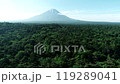 Aerial drone shot of Mt. Fuji and Aokigahara Jukai forest - Dolly-in 119289041