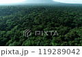 Drone photography of Aokigahara Jukai in summer, increasing in altitude 119289042
