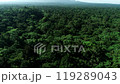 Drone footage of Aokigahara Jukai in summer 119289043