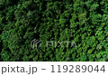 Drone aerial photography of Aokigahara Jukai, zoom out 119289044