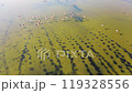 Lake and flamingos in the lake - High quality aerial shot of flamingos and lake with drone 119328556
