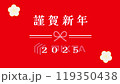 新年水引 01 2025 119350438