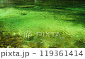 緑色が美しい谷川　三重県熊野市　大又川 119361414