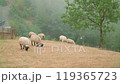 2022 July 31st, France, Countryside Lake 119365723