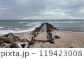 Seascape with a pier 119423008