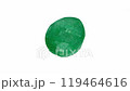 Captivating Emerald Gemstone Radiating Elegance and Natural Beauty 119464616