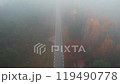 Foggy and misty autumn forest. Aerial view. 119490778